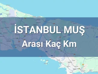 İstanbul Muş Arası Kaç Km